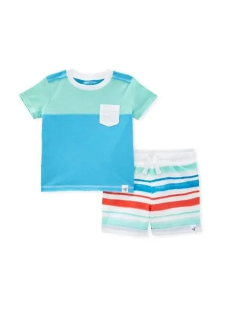 Burt's Bees Baby Color Block Tee & French Terry Short Set